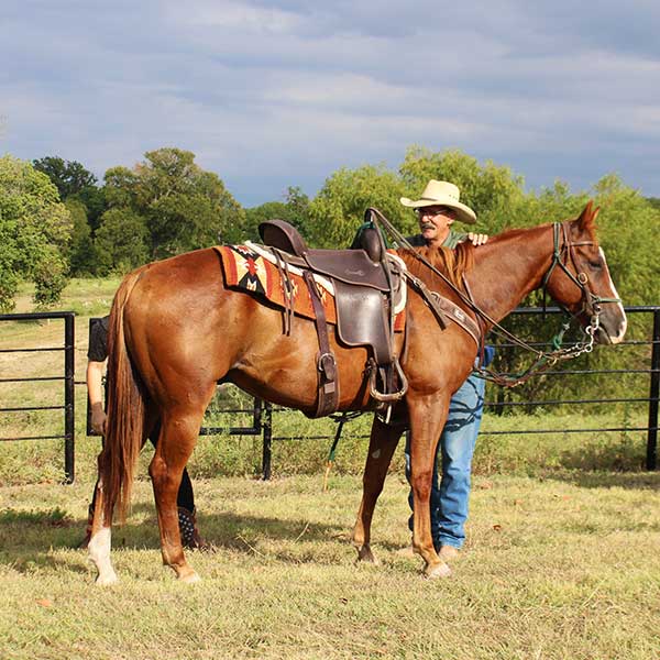 Retreat_ranch_bells_texas_quarter-horses-training